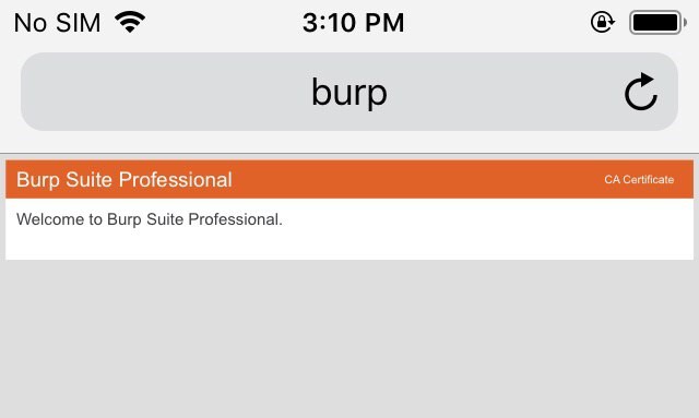 1778242985-1724395972_932_Langkah-Langkah-Penetration-Test-pada-Aplikasi-dengan-Mengintegrasi-Burp-Suite-ke.jpg